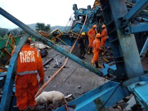 crane collapse