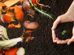 5 طرق لصناعة الأسمدة الطبيعية في المنزل