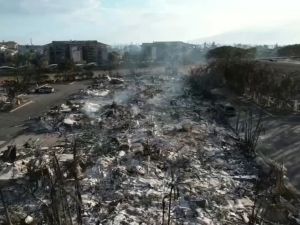 Devastating wildfires in Maui, Hawaii cause over $1.3B in damages
