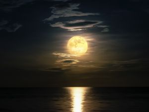 Shutterstock full moon