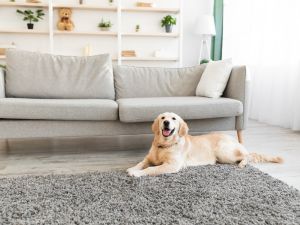 (Shutterstock/ File Photo) House