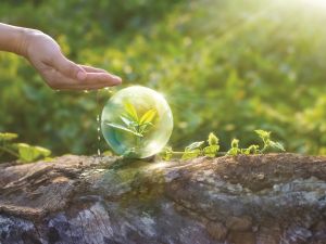 Axis Communications Sustainability Report showcases commitment to sustainable business practices