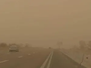 عاصفة عنيفة أدت إلى اقتلاع الشجر والحجر،
