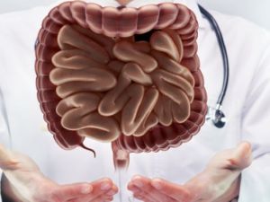 افضل دكاترة باطنية في الرياض