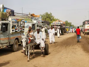 "انتشار كارثي" لحمى الضنك يفتك بالمئات ويصيب الالاف في السودان