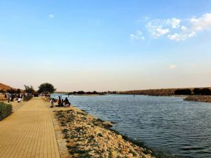 بحيرات الرياض