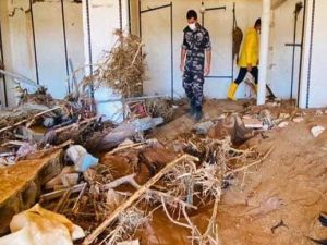  تم دفن 3166 متوفى في مدينة درنة 