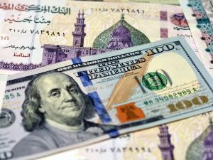 سعر الدولار اليوم في مصر