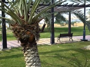 منتزه الوادي الرياض