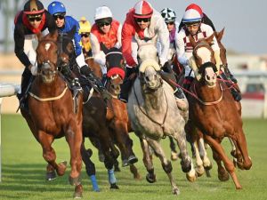 نادي الفروسية النسائي بالرياض