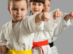 نادي كاراتيه الرياض