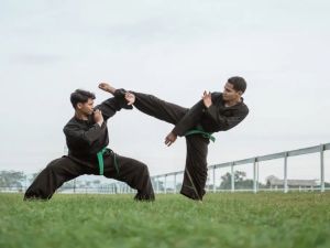 نوادي كونغ فو في الرياض