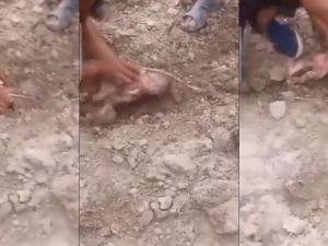 Morocco Earthquake 