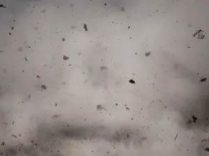 ‎‏دعاء وقت الريح والعواصف ‏‎
