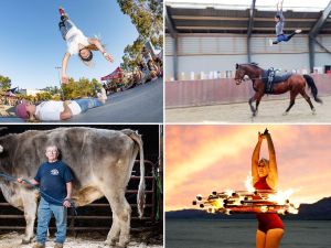 موسوعة غينيس للأرقام القياسية