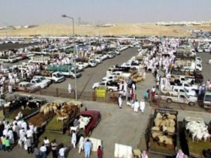 أسواق الطيور بالرياض