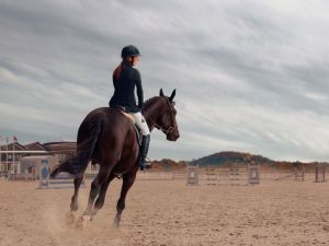 أماكن ركوب الخيل في الرياض