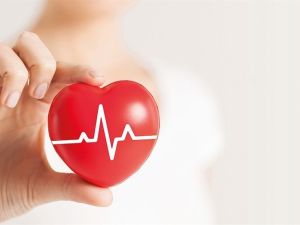 افضل دكاترة قلب في الرياض