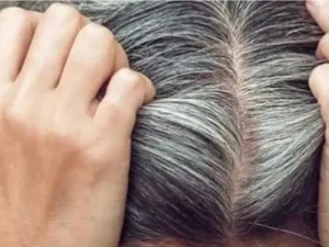 تفسير رؤية الشعر الابيض في المنام