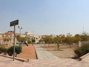 حي التعاون الرياض