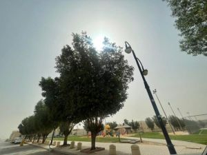 حي المنار الرياض