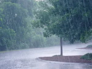 دعاء عند نزول المطر للنجاح في الدراسة