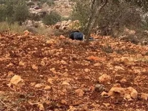 المستوطنون يرتكبون مجزرة في نابلس