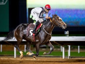 نادي الفروسية بالرياض