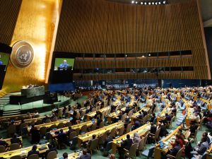 UN General Assembly