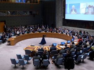 Security council