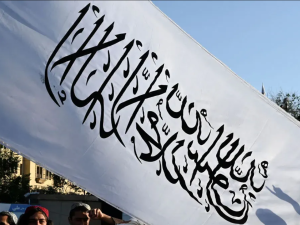 هل رفع علم طالبان في مظاهرة مؤيدة لفلسطين في أمريكا؟