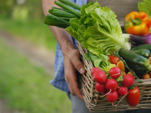 Eating vegetables before a meal