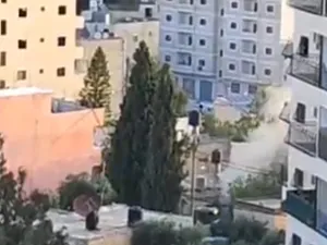 اربعة شهداء بنيران القوات الاسرائيلية في ابو ديس والخليل