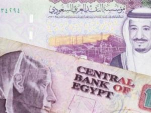 سعر الريال السعودي اليوم في مصر