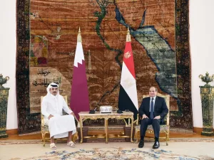 الرئيس المصري وأمير دولة قطر يناقشان العدوان الإسرائيلي على غزة