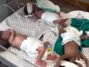 اطفال مستشفى الشفاء الخدج يصلون الى مصر