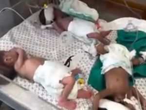 اطفال مستشفى الشفاء الخدج يصلون الى مصر