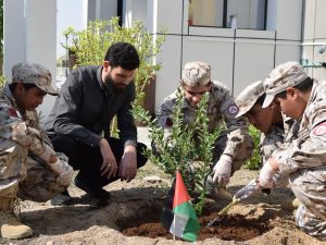 QF Students Plant Olive Trees In Solidarity With Palestine
