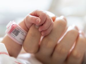 7 حقائق رائعة عن أطفال شهر نوفمبر