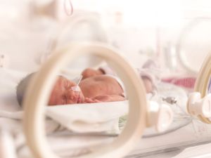 Infants decomposition in Gaza Hopsitals
