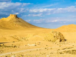 حملة تشجير في مناطق المعارضة السورية