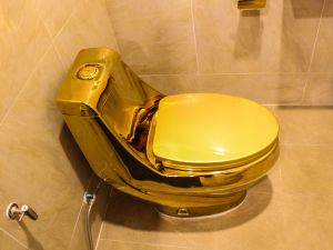 Shutterstock golden toilet