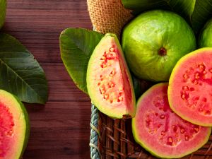 guava leaves
