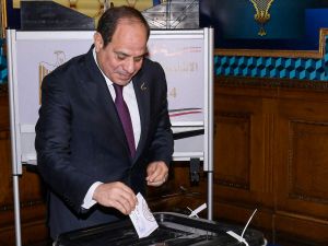 sisi
