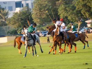 Dubai Polo & Equestrian Club Launches International Polo Cup Presented by AlUla, Saudi Arabia