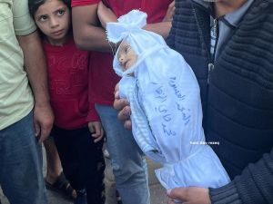 Muhammad Hani Al-Zahar, Palestinian baby 