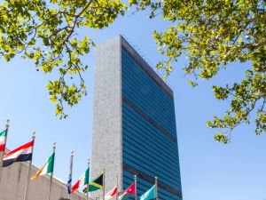 UN 