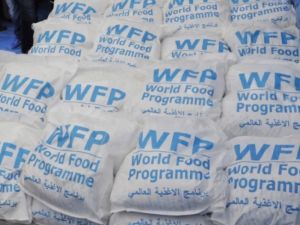 النظام السوري ينتقد برنامج الغذاء العالمي