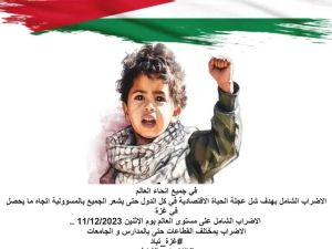 حملة لاطلاق اضراب عالمي تضامنا مع غزة 
