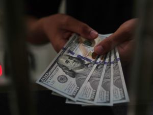 سعر الدولار اليوم في مصر